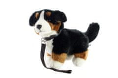 Uni-Toys Plyš Bernský salašnický pes s vodítkem 26 cm