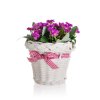 Květina v ratanovém košíku se stuhou 13 x 14 cm, fialová, sada 6 ks