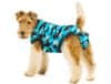 Pooperační ochranné oblečení pro psa modré 22 - 35cm