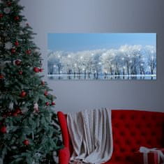 Family Zimní krajina - LED obraz 70x30