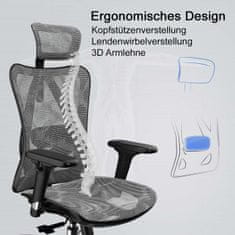 MCW Kancelářská židle SIHOO, ergonomická, nastavitelná područka, nosnost 150 kg ~ šedý potah, černý rám