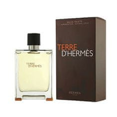 Hermès Terre D´ Hermes - EDT 100 ml