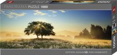 Heye Panoramatické puzzle Hra světla 1000 dílků