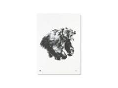 Teemu Järvi Plakát s motivem medvěda Roaring bear 50x70
