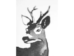 Teemu Järvi Plakát s motivem srnce Roe Deer 50x70