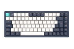 klávesnice - 83 Navy Blue/Ivory - G3MS Mech. RGB ISO (DE)