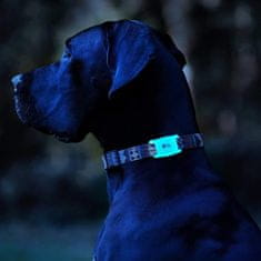 case-mate Case-Mate Dog Collar Mount - Pouzdro S Uchycením Na Obojek Pro Apple Airtag (S