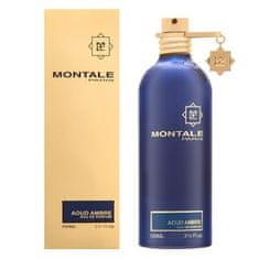 Montale Paris Aoud Ambre parfémovaná voda unisex 100 ml