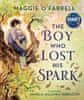 Walker Books The Boy Who Lost His Spark