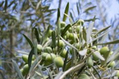 Extra panenský olivový olej s citrónem, 250 ml (Ročník 2023/24)