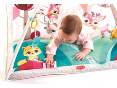 Tiny Love Hrací deka s hrazdou Gymini Tiny Princess Tales