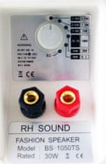 RHsound BS-1050TS/W, 100 V reproskříňka