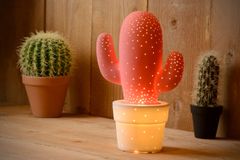 LUCIDE  CACTUS Pink stolní lampa
