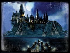 Prime 3D Puzzle Harry Potter: Příjezd do Bradavic 3D 500 dílků