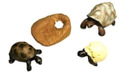 Animal Life figurky životní cyklus Želva suchozemská