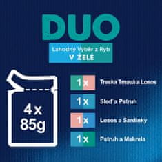 Felix FANTASTIC Duo multipack lahodný výběr v želé 48x85 g