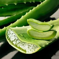 Aroma Gel na intimní hygienu Aloe vera Aroma 250 ml