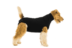 Pooperační ochranné oblečení pro psa černé 22 - 35cm