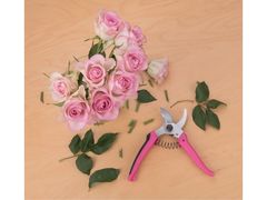 Zahradnické nůžky (9272) na květiny, 180mm