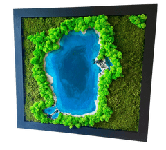 ProfiMech Mechový obraz s epoxidovou pryskyřicí - jezero - plochý a sobí mech - dřevěný černý rám