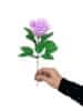 Mýdlový květ růže Levandulová na stonku s lístky