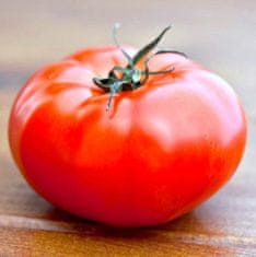 Legutko BETALUX mleté semeno zakrslého rajčete 0,5g
