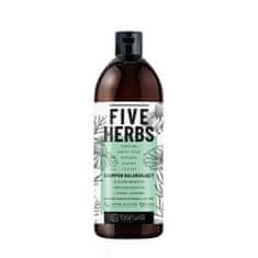 BARWA Vyrovnávací šampon Five Herbs - pro normální a mastné vlasy 480 ml